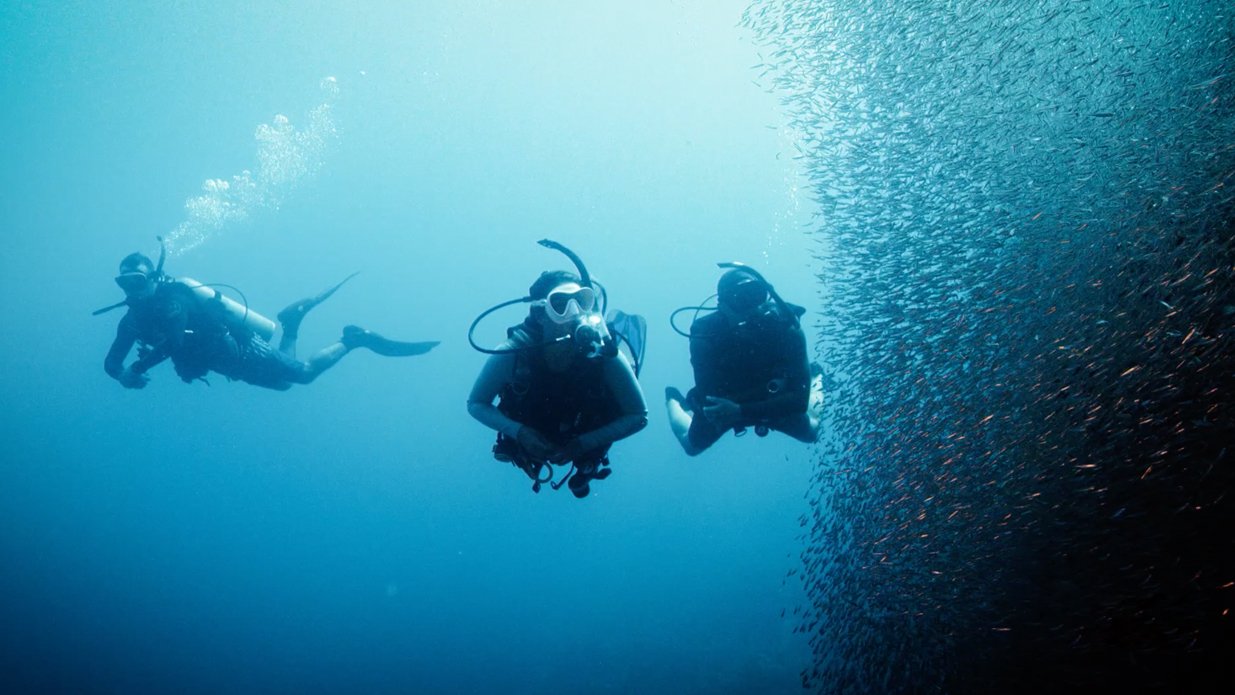 eLearning – Deep Diver