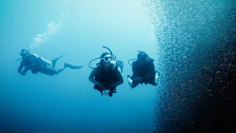 eLearning – Deep Diver